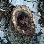 Dom....dla kazdego dom....